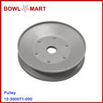 12-300071-000 Pulley