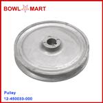 12-450033-000 Pulley 