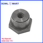 A000-022-173U. Nut-Special