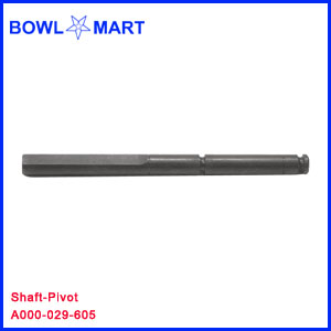 A000-029-605U. Shaft-Pivot
