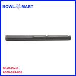 A000-029-605U. Shaft-Pivot