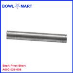 A000-029-606U. Shaft-Pivot-Short