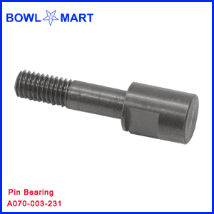 A070-003-231U. Pin Bearing