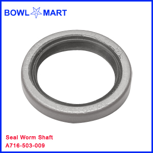A716-501-009. Seal Worm Shaft