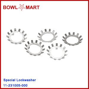 11-231005-000. Special Lockwasher