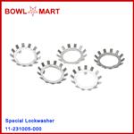 11-231005-000. Special Lockwasher