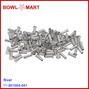 11-301002-001. Rivet