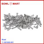 11-301002-001. Rivet