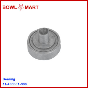 11-436001-000. Bearing