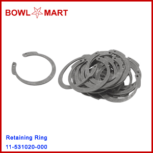 11-531020-000. Inverted Retaining Ring (PKG 20)