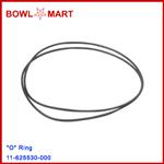 11-625530-000."O" Ring (PKG 2)