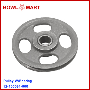 12-100081-000U. Pulley W/Bearing