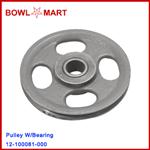 12-100081-000U. Pulley W/Bearing
