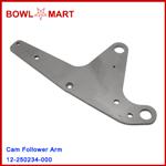 12-250234-000 Cam Follower Arm 