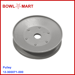 12-300071-000 Pulley