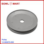 12-300073-000 Pulley