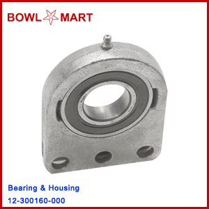 12-300160-000 Bearing & Housing