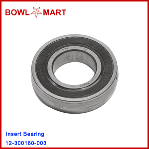 12-300160-003. Insert Bearing