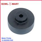 12-502352-000. Accelerator Motor Pulley