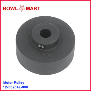 12-502549-000U. Accelerator Motor Pulley