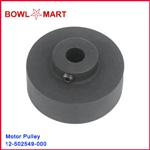 12-502549-000U. Accelerator Motor Pulley