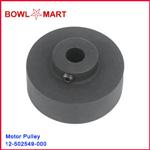 12-502549-000U. Accelerator Motor Pulley