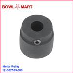 12-502553-000U. Accelerator Motor Pulley