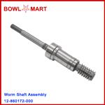 12-860172-000U. Worm Shaft Assembly