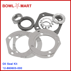 12-860603-000. Oil Seal Kit