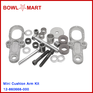 12-860666-000. Mini Cushion Arm Kit