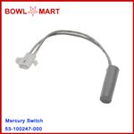 53-100247-000. Mercury Switch