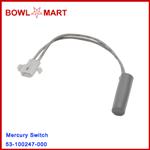 53-100247-000. Mercury Switch